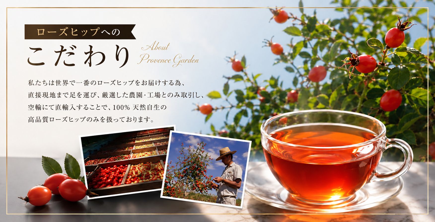 野生ローズヒップティ＆ローズヒップオイルコスメのプロヴァンスガーデン